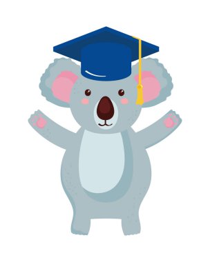 Mezuniyet şapkalı sevimli koala öğrencisi.