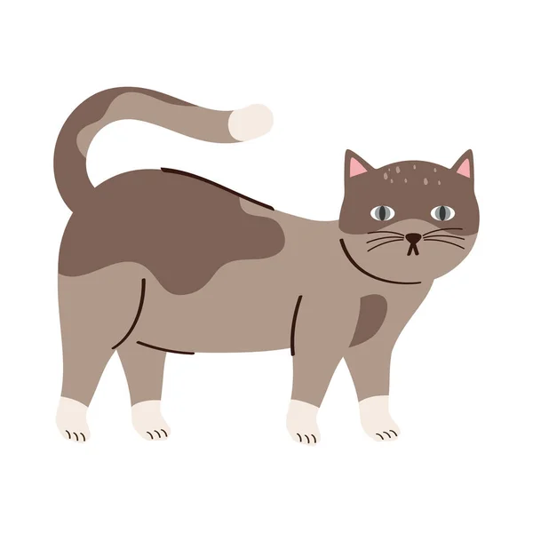 Cute Cat Gray Pet Character —  Vetores de Stock