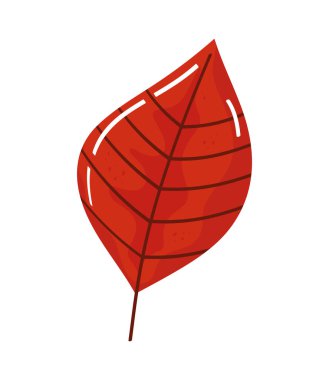 red leaf autumn season nature icon