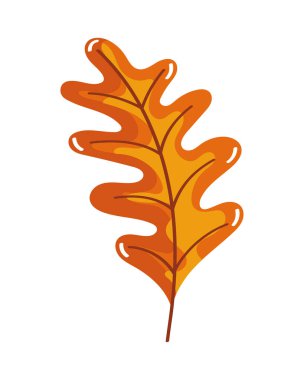 orange leaf autumn season icon