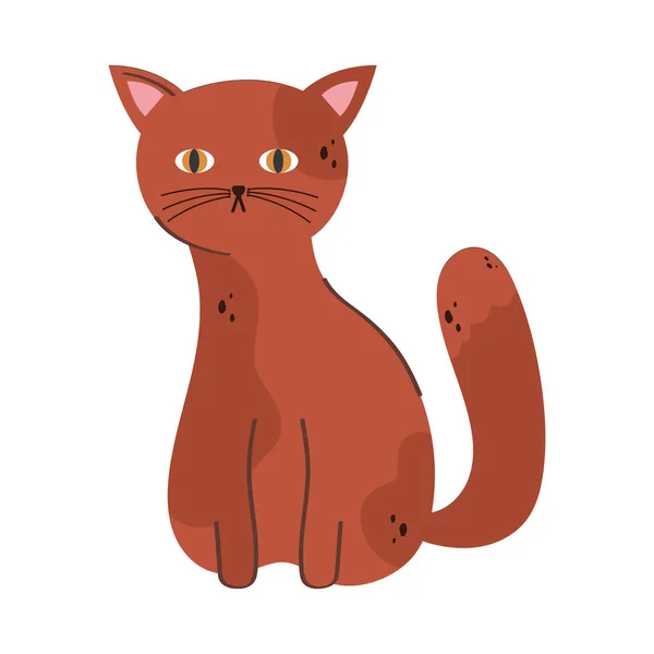 Cute Cat Orange Pet Character — Vector de stock