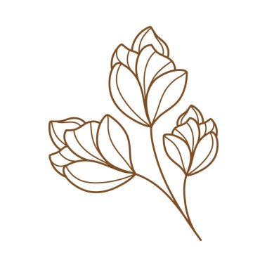 Gül çiçekleri doğa ikonu