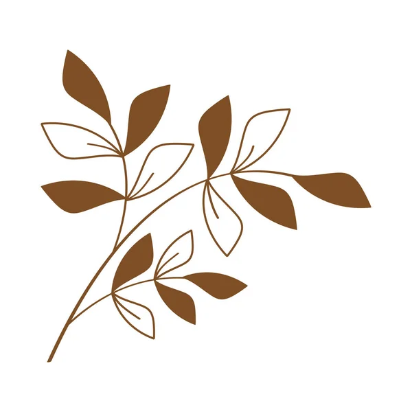 Leaves Branch Nature Icon —  Vetores de Stock