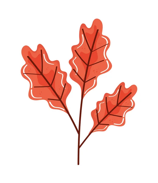 Branche Orange Saison Automne Icône — Image vectorielle