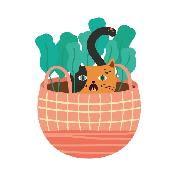 Cute Cat Basket Pet Character — Vettoriale Stock