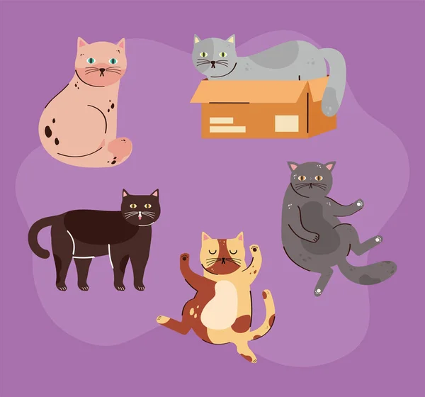 Five Cute Cats Pets Group — Stockvector