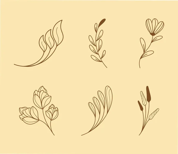 Six Décorations Florales Ensemble Icônes — Image vectorielle