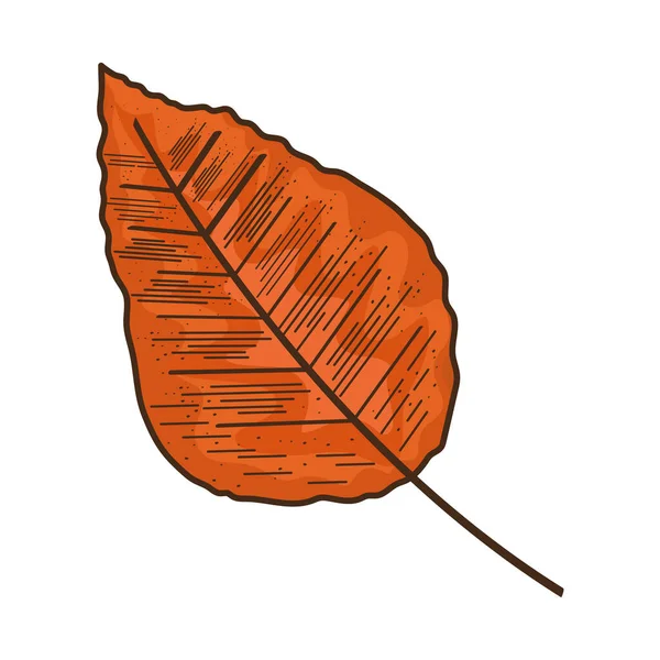 Autumn Orange Leaf Seasonal Icon — Stock vektor