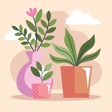 gardening vase with houseplants scene