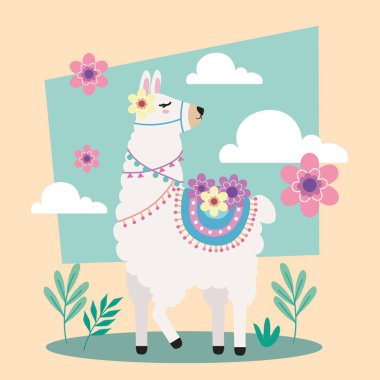 tatlı lama bulutlu karakter