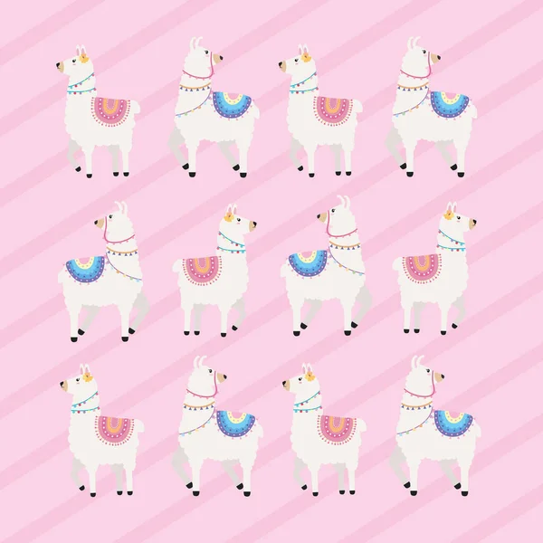 Twelve Llamas Animals Pattern Background — Image vectorielle