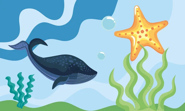 Baleine Avec Étoiles Mer Algues Scène — Image vectorielle