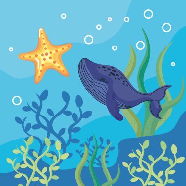 Balina ve denizyıldızı açılma sahnesi