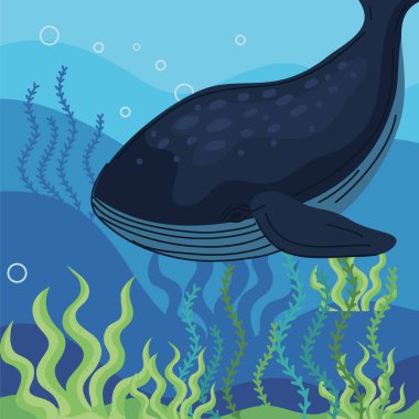 Su altında su yosunları olan balina