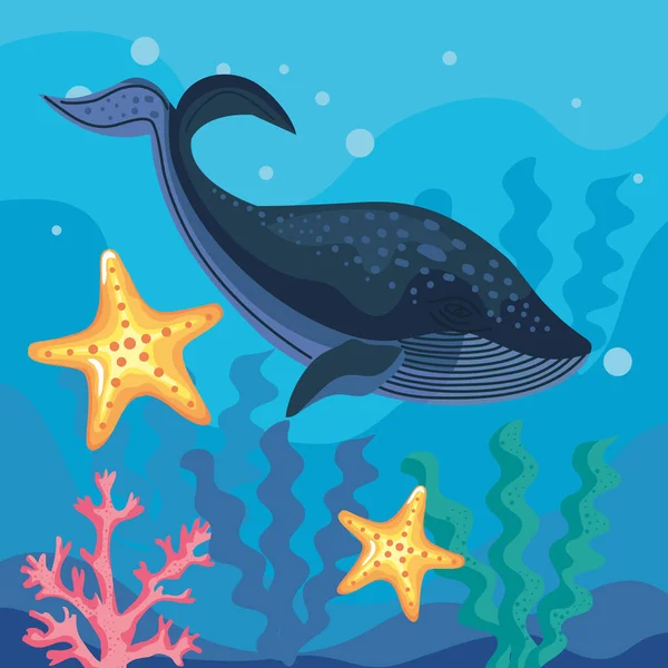 Whale Starfishes Undersea Scene — Vector de stock
