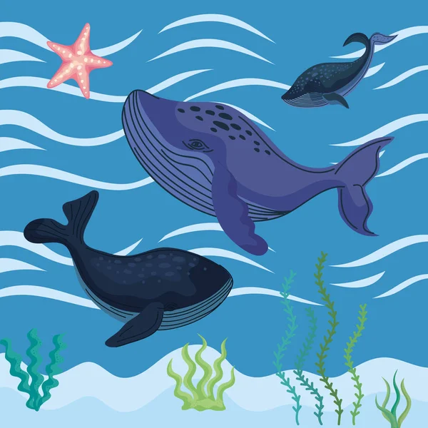 Φάλαινες Φύκια Sealife Σκηνή — Διανυσματικό Αρχείο