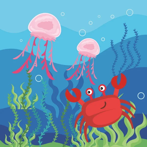 Crab Jellyfish Sealife Scene — Stock vektor