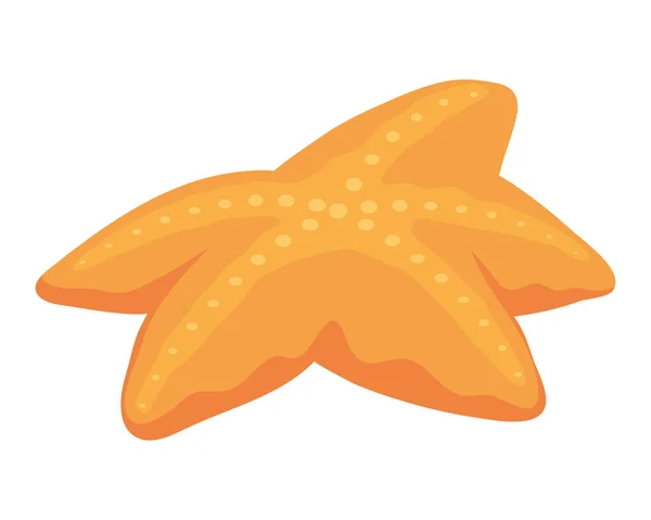 Orange Starfish Sealife Nature Icon — ストックベクタ