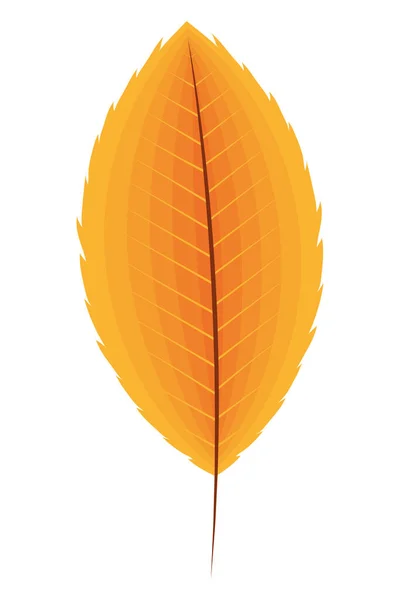 Orange Autumn Season Leaf Nature — Image vectorielle