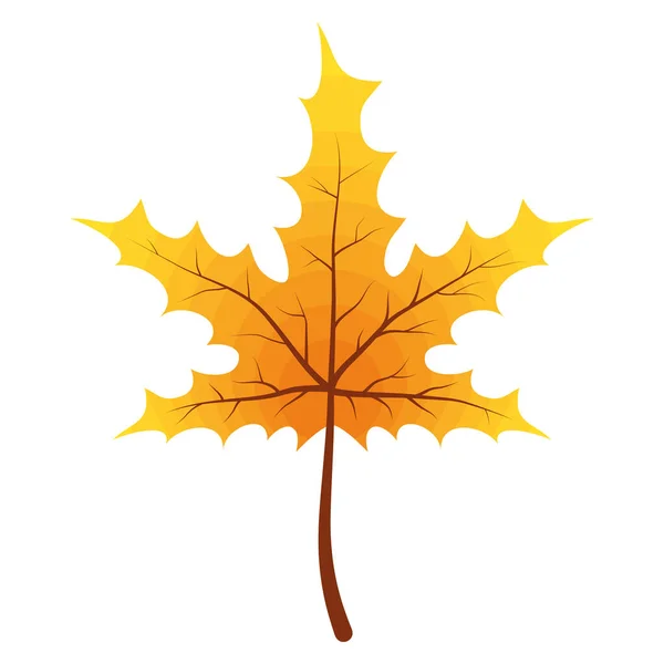 Autumn Maple Leaf Nature Icon — Stock Vector