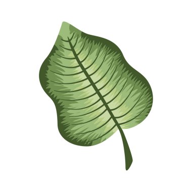 yeşil gerçekçi yaprak bitkisi simgesi