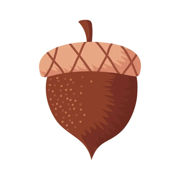 Autumn Season Acorn Seed Icon — Stock Vector
