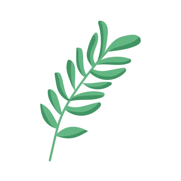 Zelená Větev Ikonou Listů — Stockový vektor