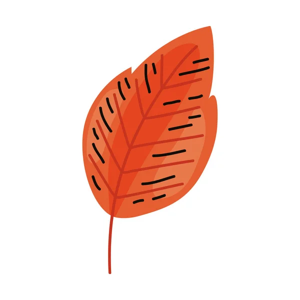 Orange Leaf Autumn Season Leaf — Stok Vektör