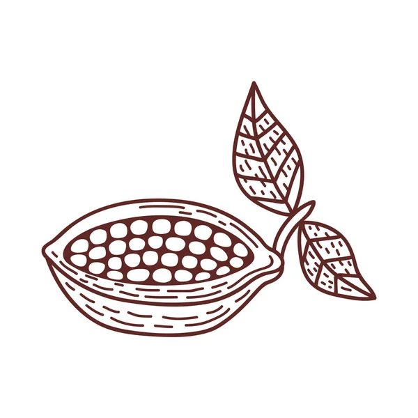 Cacao Plante Fruit Croquis Icône — Image vectorielle
