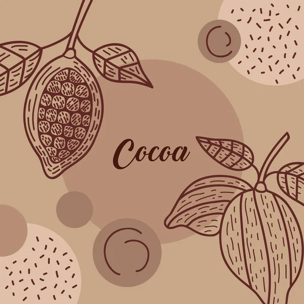 Carte Lettres Cacao Avec Graines — Image vectorielle