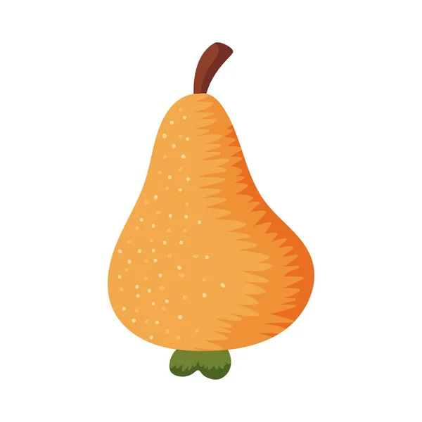 Autumn Pear Fruit Isolated Icon — Stock Vector