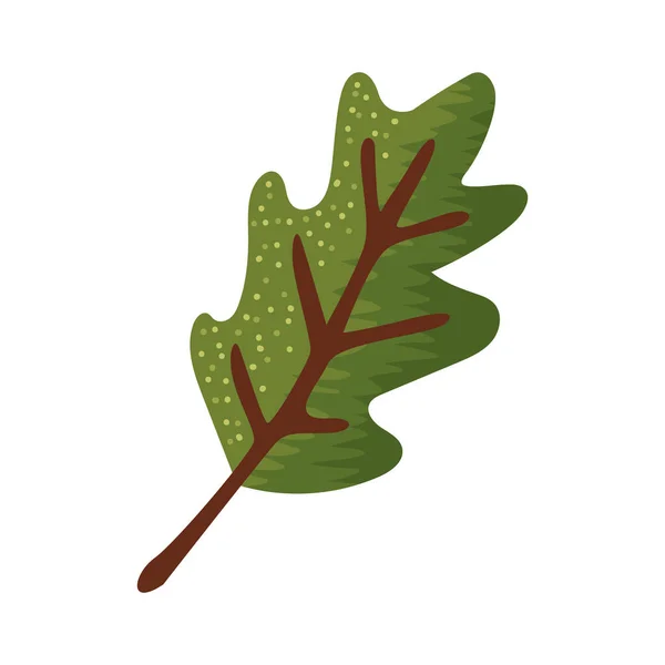 나뭇잎 아이콘 — 스톡 벡터
