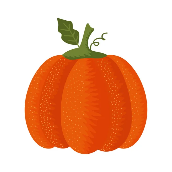 Automne Saison Citrouille Fruit Icône — Image vectorielle