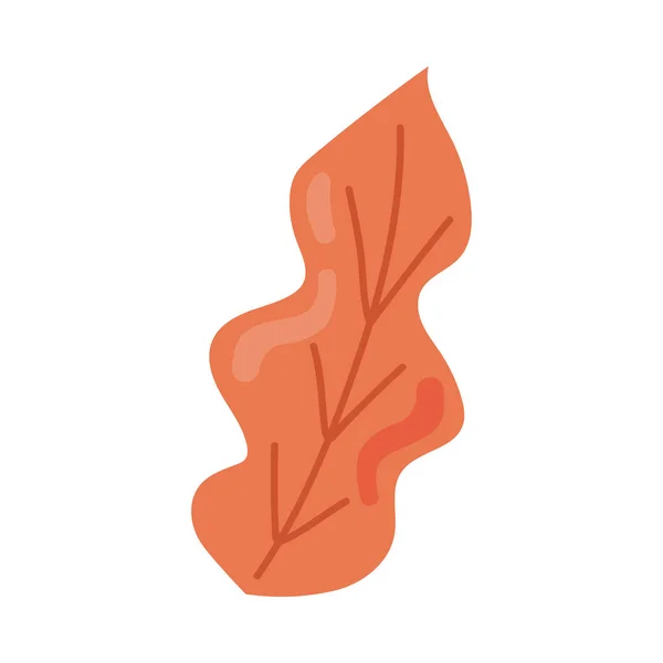 Orange Leaf Plant Seasonal Icon — Stockvektor