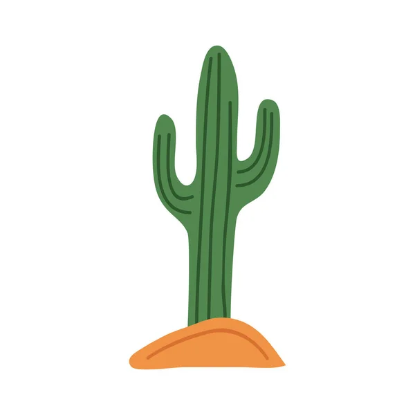 Beauty Cactu Plant Nature Icon — ストックベクタ