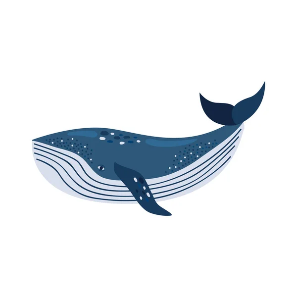 Sei Whale Sealife Animal Icon — 图库矢量图片