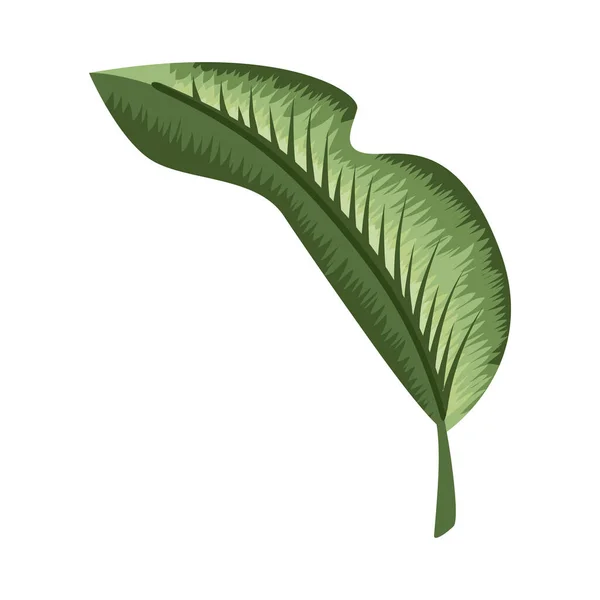 Leaf Plant Folded Nature Icon — Archivo Imágenes Vectoriales