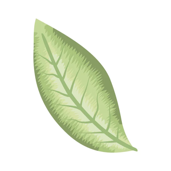 Groen Laat Natuur Plant Icoon — Stockvector