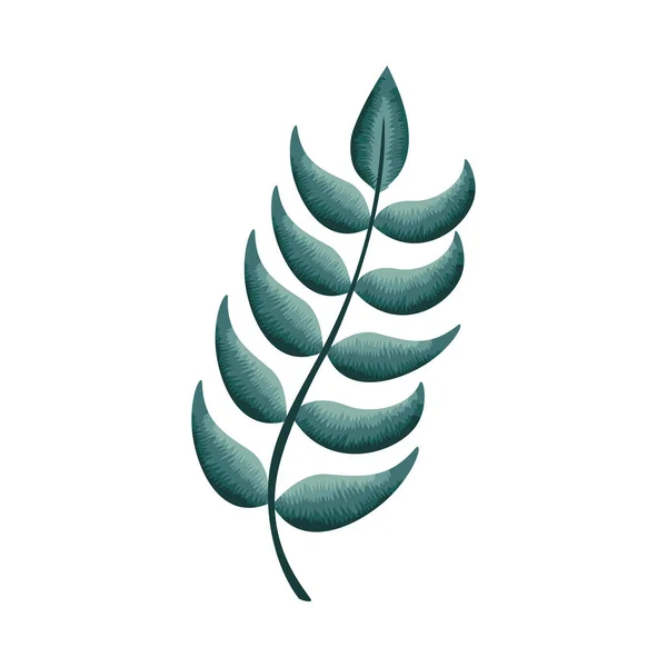 Zweig Mit Blättern Pflanzliches Symbol — Stockvektor