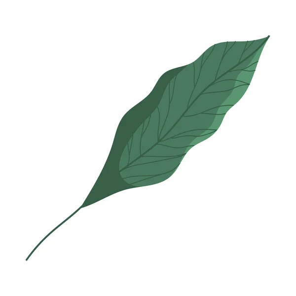 Leave Plant Foliage Nature Icon — Vetor de Stock