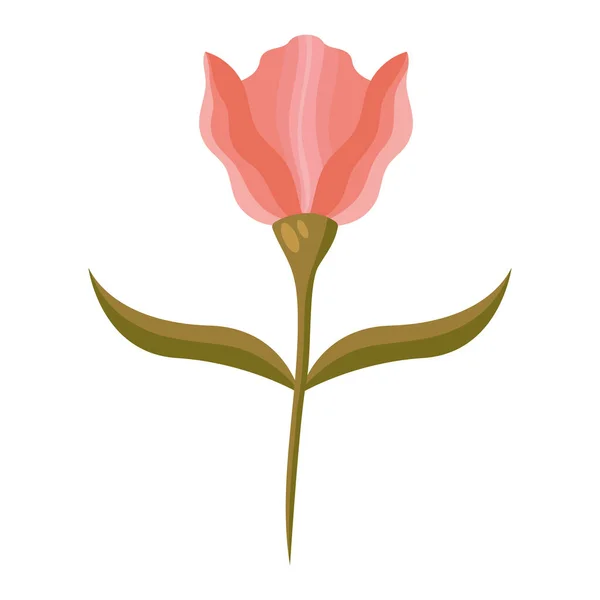 Rosa Blumengarten Dekoration Natur — Stockvektor