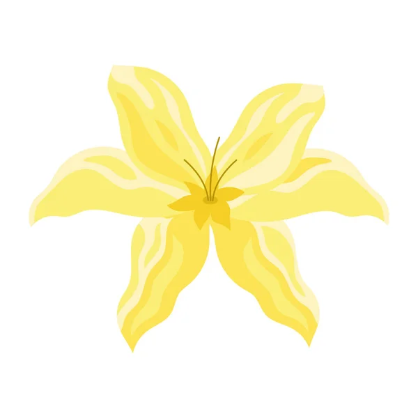 Yellow Exotic Flower Garden Decoration Nature — Vettoriale Stock