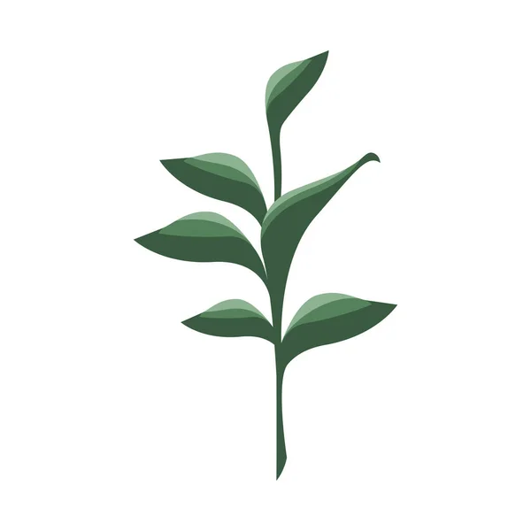 Branche Verte Avec Des Feuilles Icône Nature — Image vectorielle