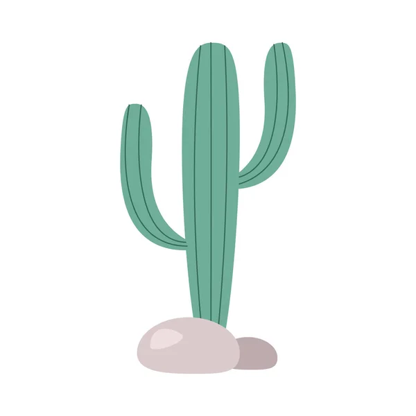 Кактусова Пустельна Рослина Камінням — стоковий вектор