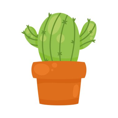 Seramik saksıda kaktüs.