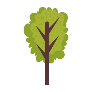Ağaç bitkisi doğa simgesi