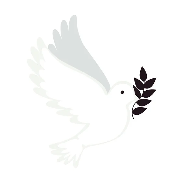 Dove Flying Olive Branch Icon — ストックベクタ