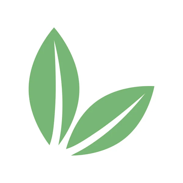 Два Зелених Листя Природи — стоковий вектор