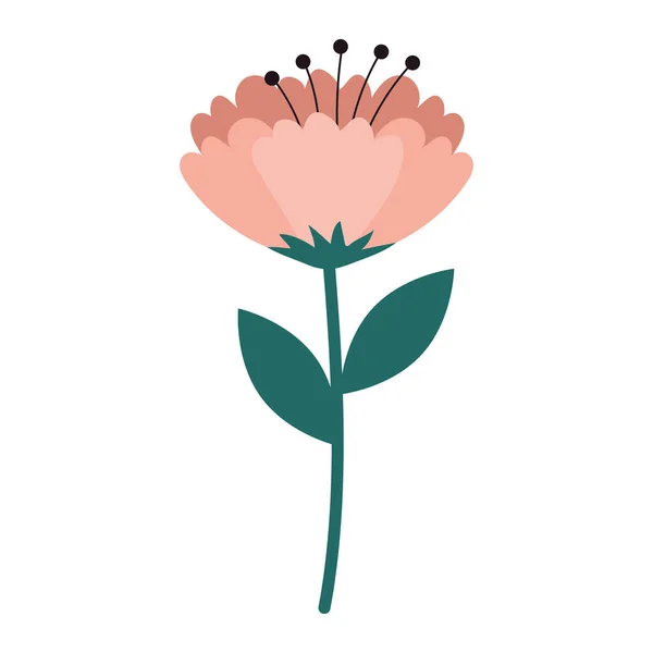 Pink Flower Garden Nature Icon — Stock Vector