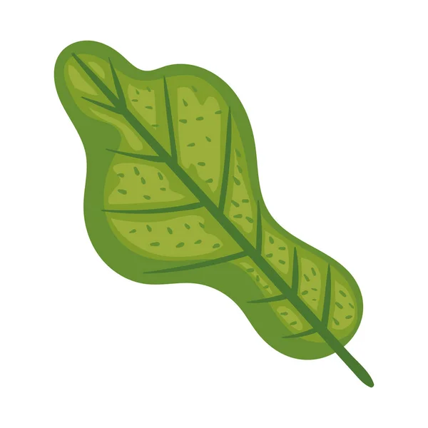 Green Leaf Plant Foliage Nature Icon — Διανυσματικό Αρχείο